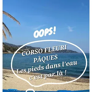 Appartement splendide appart 6 p à 150 m plage, tout à pied, Le Lavandou
